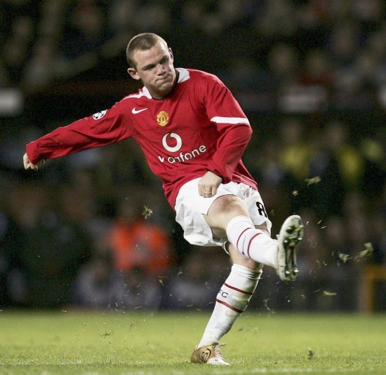 迷心中种下 迷心中种下